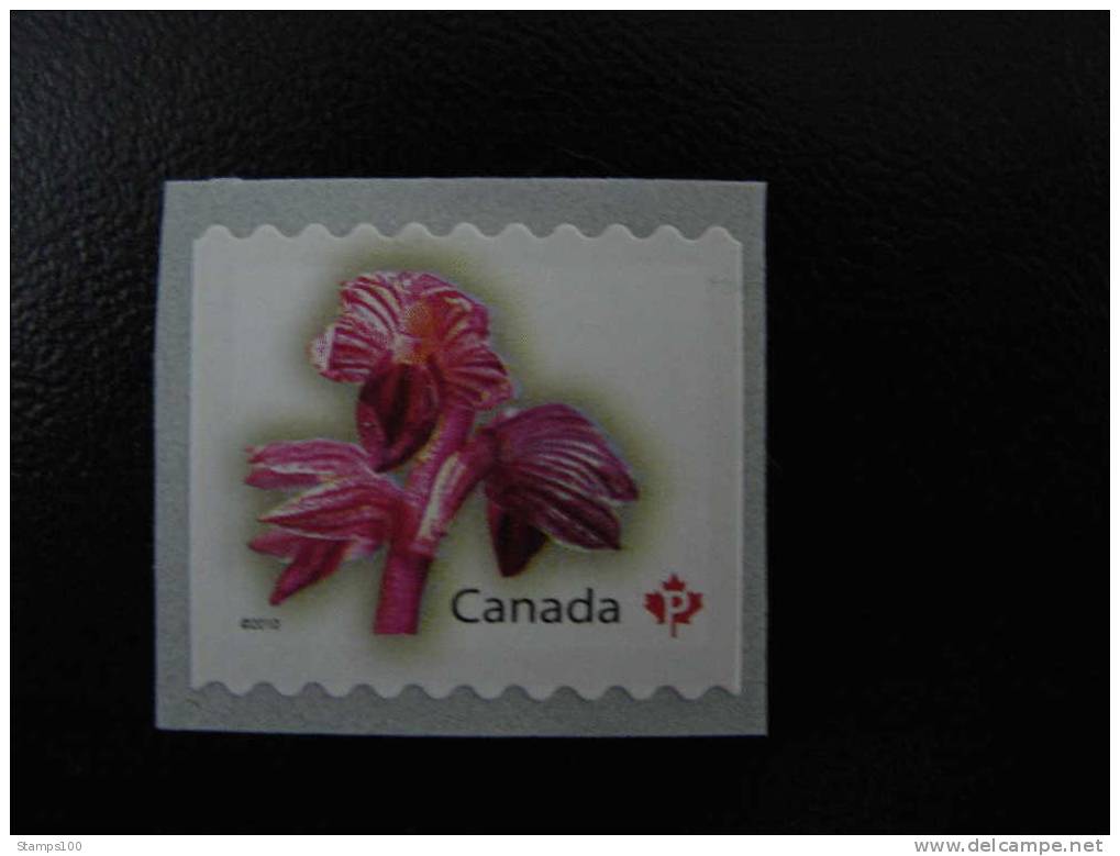 CANADA 2010  MNH**     LARGE COILSTAMP ORCHID     DIFFERENT PERFORATION    (040704) - Nuovi