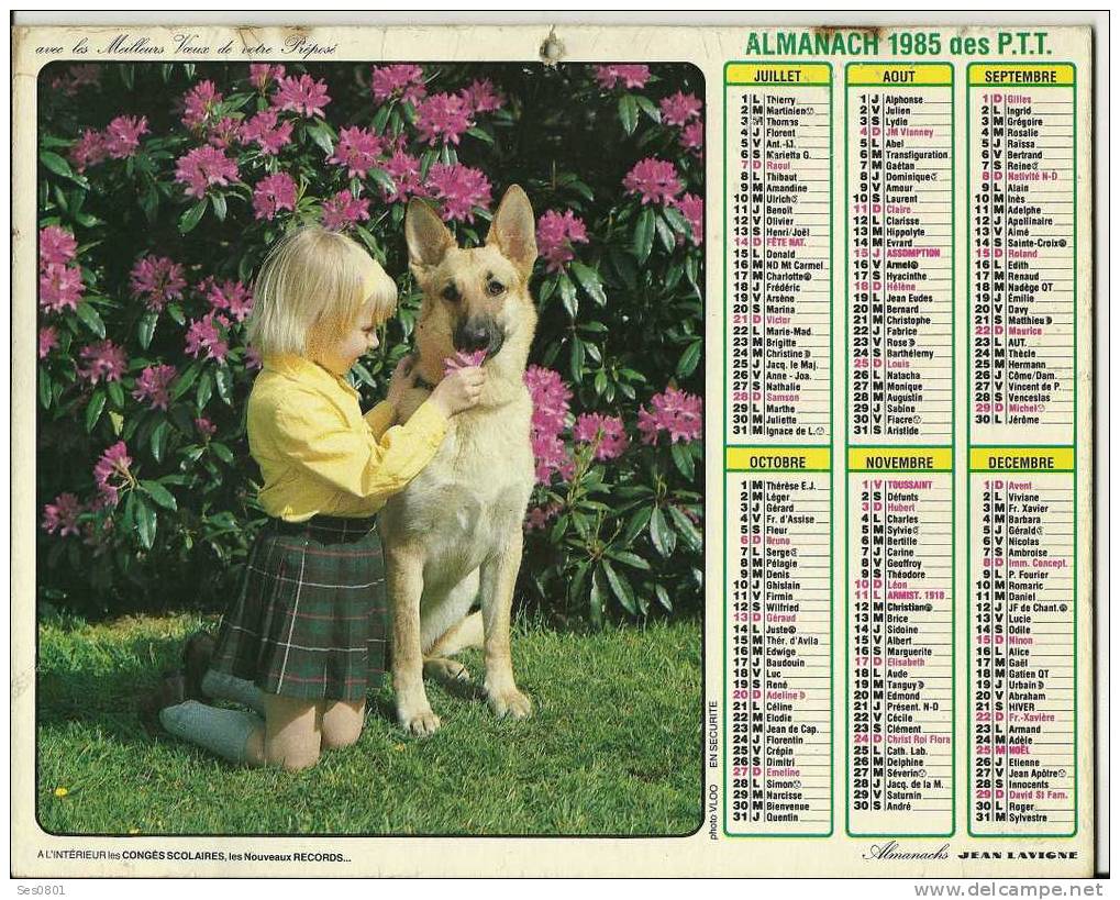 CALENDRIER ALMANACH DES PTT De  1985  Petite Fille Avec Son Chien - Grand Format : 1981-90