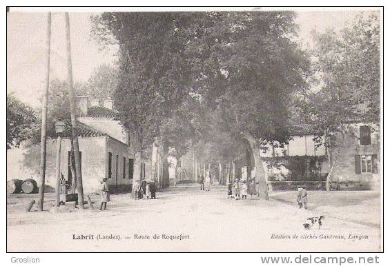 LABRIT (LANDES) ROUTE DE ROQUEFORT (ANIMATION) 1905 - Labrit