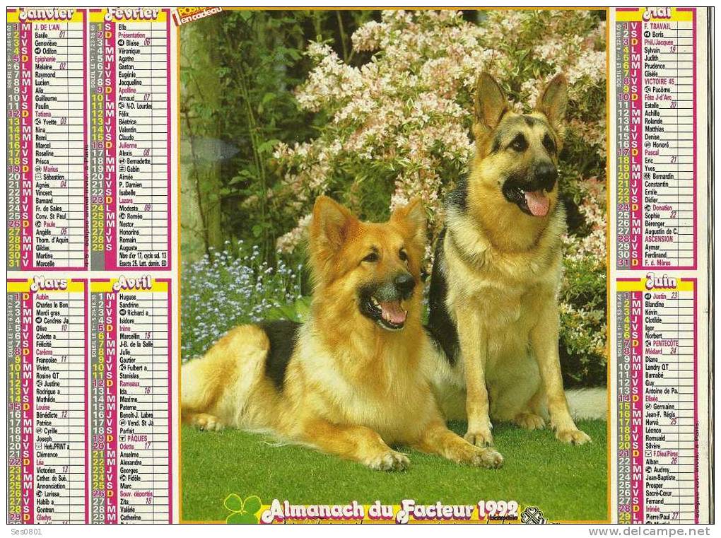CALENDRIER ALMANACH DES PTT De  1992 Chiens Et Cheval - Big : 1991-00
