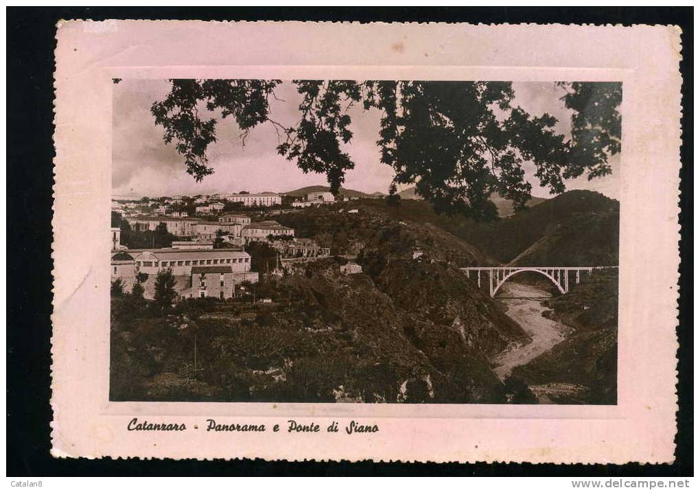 S1479 CARTOLINA ILLUSTRATA CALABRIA CATANZARO PANORAMA E PONTE DI SIANO FG. V. 1951 - Catanzaro