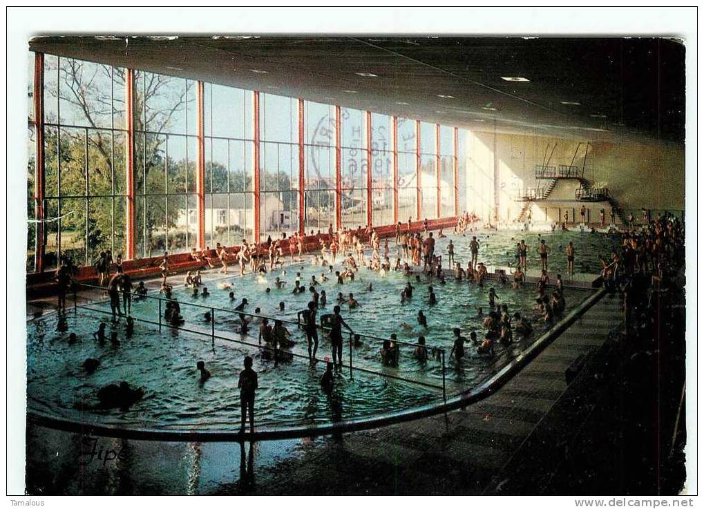 NATATION - PISCINE Du MANS - CPSM Scan Recto-verso - - Natation