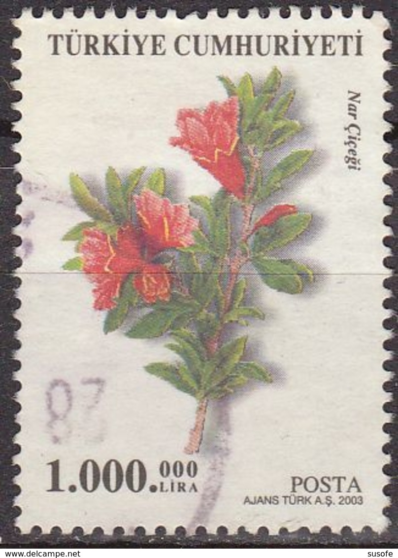 Turquia 2003 Scott 2863 Sello º Flora Granada Nar Cicegi Pomegranate (Punica Granatum) Yvert 3080 Michel 3351 Turkey - Oblitérés