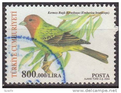 Turquia 2004 Scott 2894 Sello º Faune Pajaro Emberiza Bruniceps Turkey Stamps Timbre Turquie Briefmarke Türkei Francobol - Oblitérés