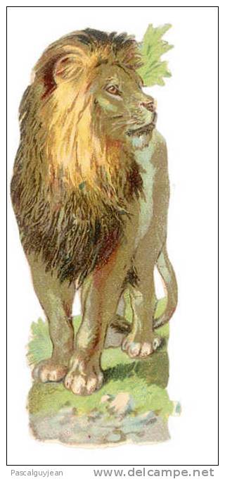 DECOUPI ANCIEN LION 8 CM - Animaux