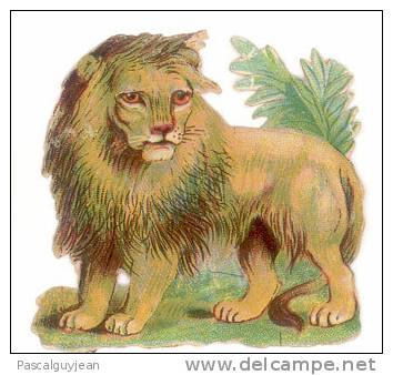 DECOUPI ANCIEN LION - 5 Cm - Tiere
