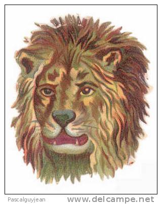 DECOUPI ANCIEN TETE DE LION - 5,5 Cm - Tiere