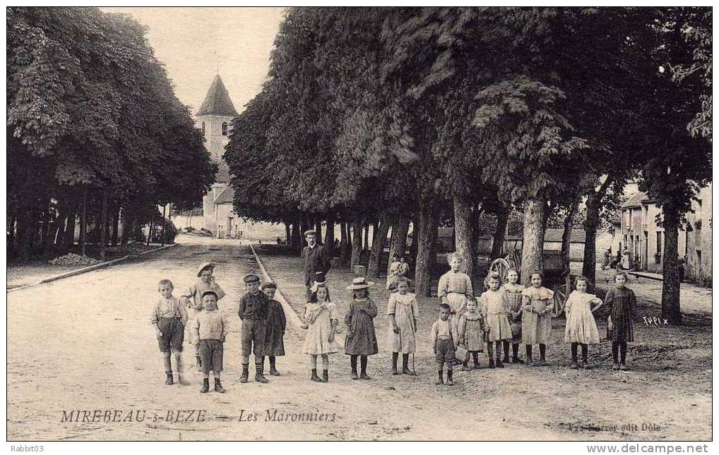 C   -  789    -   MIREBEAU - Sur - BEZE    -    (  21  )  .   Les   Maronniers   . - Mirebeau