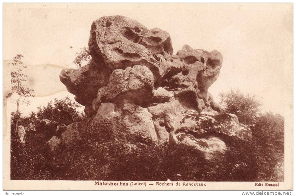 CPA  - MALESHERBES (LOIRET) - ROCHERS DE RONCEVAUX - Malesherbes