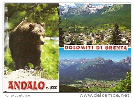 Andalo M.1000 Dolomiti Di Brenta Orso - Bears