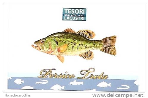 Pesce Persico Trota - Poissons Et Crustacés