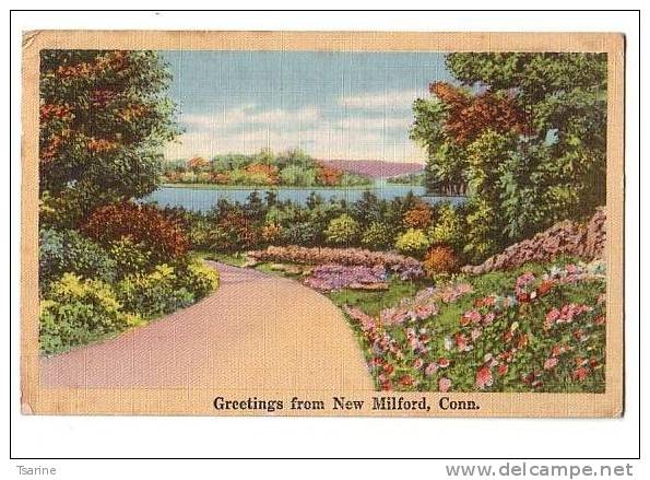 ETATS-UNIS - Grettings From New Milford Connecticut : Chemin Menant à La Rivière - Autres & Non Classés