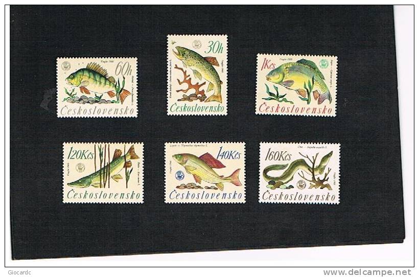 CECOSLOVACCHIA (CZECHOSLOVAKIA) - YVERT 1475.1480  -1966 MONDIALI DI  PESCA SUL FIUME: PESCI - NUOVI (MINT) ** - Unused Stamps