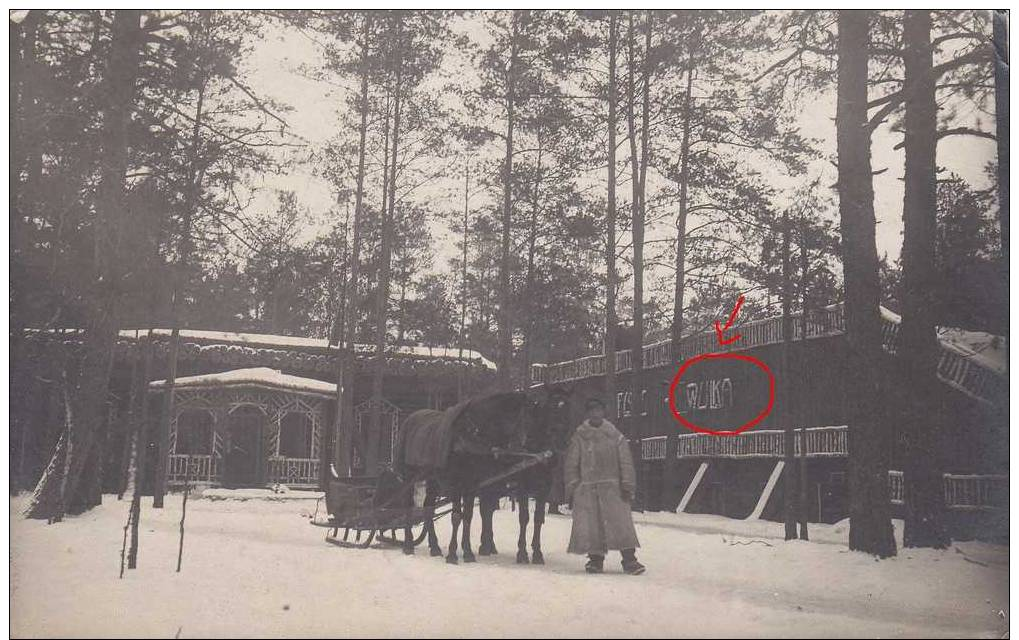 SOLDATS ALLEMANDS-TRAINEAU EN RUSSIE -CARTE PHOTO - Guerre 1914-18