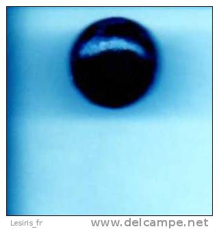 BOUTON ROND  - NOIR - DEMI BOULE - Botones