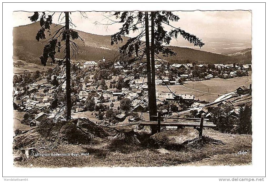 AK 2386 Luftkurort Bodenmais Bayr. Wald Besucht Den Schönen Bayrischen Wald 28.8.56-19 (13b) BODENMAIS B - Bodenmais