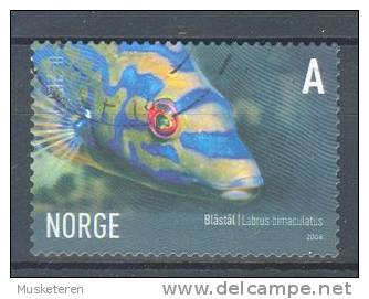 Norway 2006 Mi. 1590  A  Meerestiere Sea Animals Fish Kuckuckslippfisch - Used Stamps