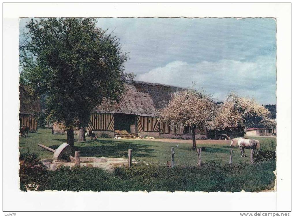 FERME NORMANDE -  Charmes Et Couleurs De La Normandie -  N° 76 000 35 - Fermes