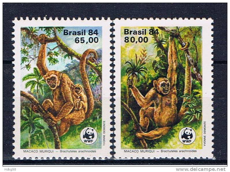 BR+ Brasilien 1984 Mi 2052-53 Mnh Affen - Ungebraucht