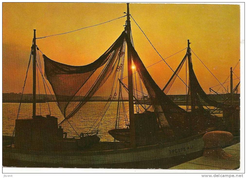 CHIOGGIA (Venezia) - Barca Da Pesca E Reti - Chioggia