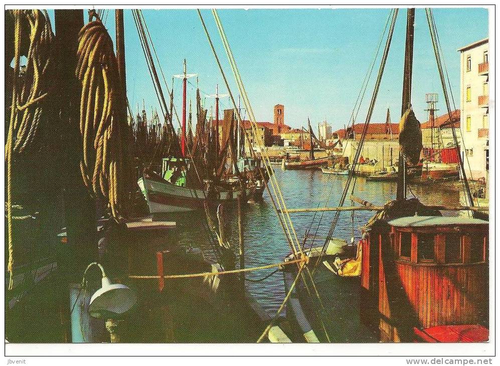 CHIOGGIA (Venezia) - Barca Da Pesca E Bragozzi In Canale S. Domenico - Chioggia