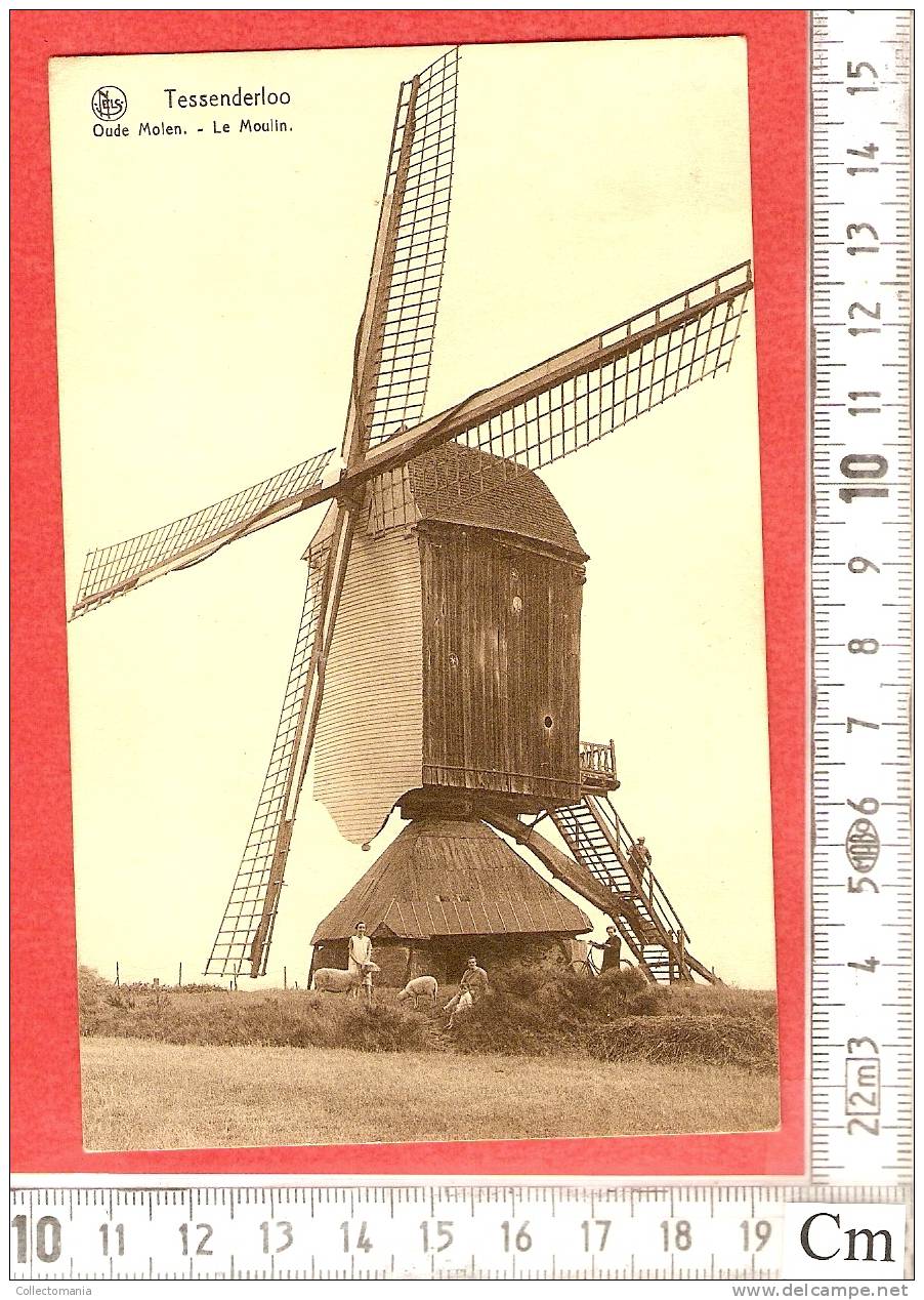 Molen Mill Moulin Mühle Molino  Tessenderlo  Tessenderloo    Fr Aldelhof Nels - Tessenderlo