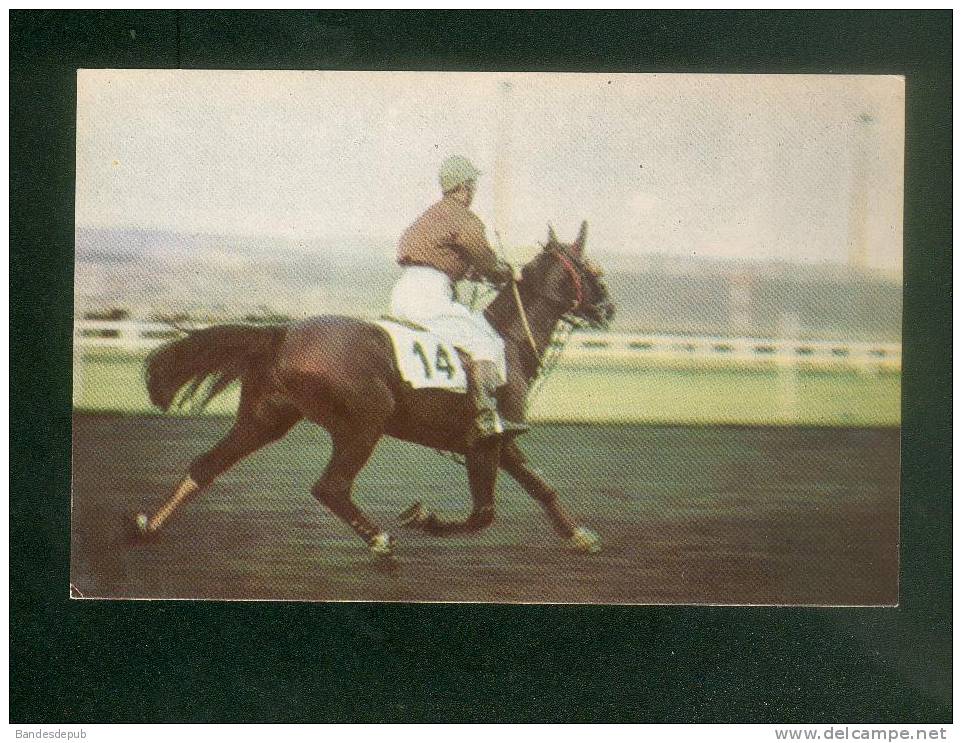 Hippisme - Louis SAUVE Sur Quérido II - Calendrier Des Courses Hippiques Septembre  1967 - Publicité Vin Postillon - Hippisme