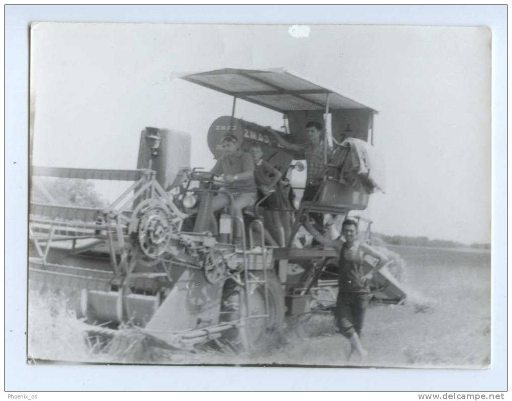 TRACTOR - Old Orginal Photo - Tractors