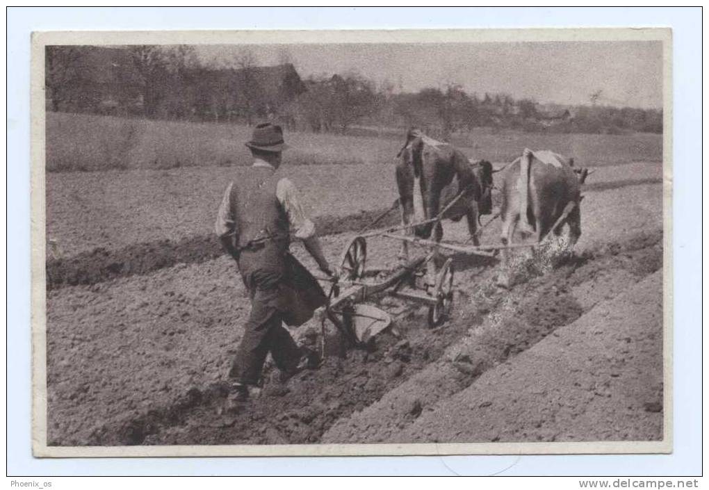 PLOUGHING - Postcard - Cultivation