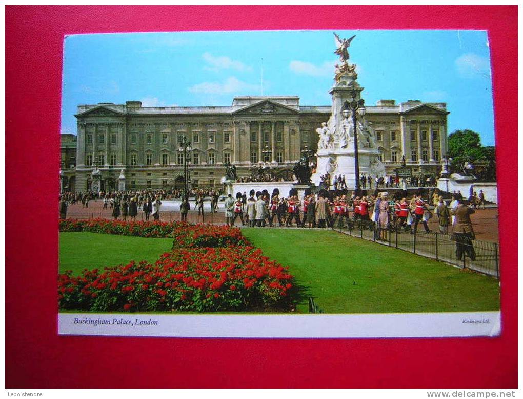 CPM OU CPSM -ANGLETERRE-LONDON -BUCKINGHAM PALACE-ANIMEE - Buckingham Palace