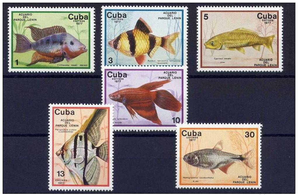 CUBA  Nº  1993  /  98   ( Sin Charnela ) - Fische