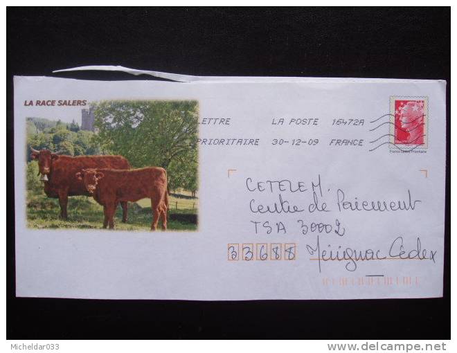 PAP Vaches De La Race Salers Timbre Beaujard - Mucche