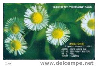 # KOREA MO9901101 Erigeron Annuus 2000 Autelca 01.99 -flowers,fleurs- Tres Bon Etat - Korea (Zuid)