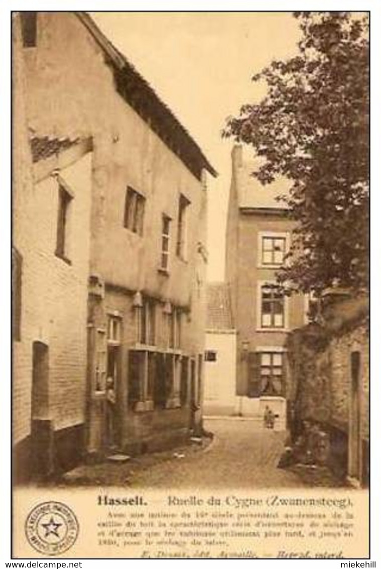 HASSELT-RUELLE DU CYGNE-ZWANENSTEENWEG-série Belgique Historique-séchage Du Tabac - Hasselt