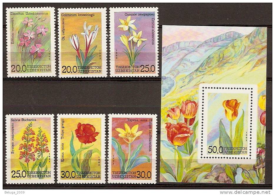 Uzbekistan 1993 Flowers MNH Set & Miniature Sheet - Ouzbékistan Ensemble Fleurs Sans Charnières - Ouzbékistan