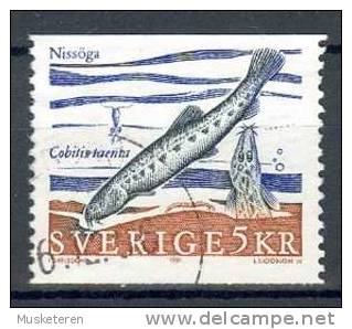 Sweden 1991 Mi. 1619  5 Kr Natur Nature Fisch Fish Europäischer Steinbeisser - Gebruikt