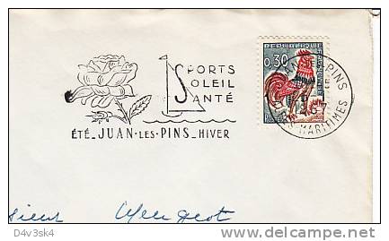 1967 France 06 Alpes Maritimes Juan Les Pins Hiver Rosa Rose Roses Flowers Fiori Fleurs - Rose