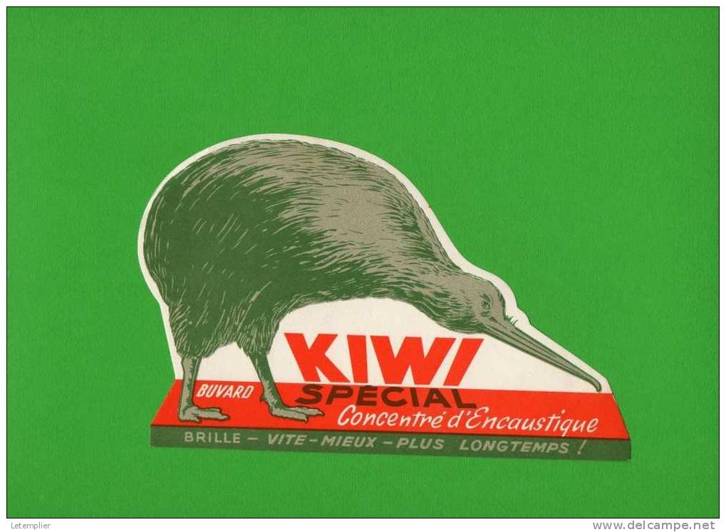 Kiwi - Wash & Clean