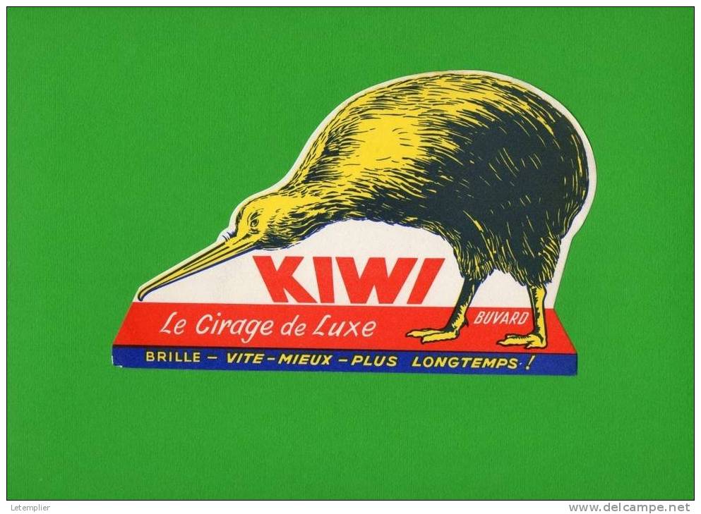 Kiwi - Wash & Clean