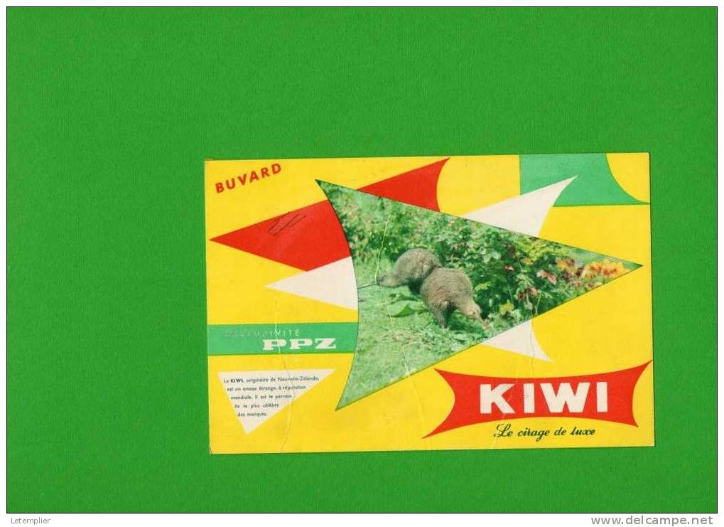 Kiwi - Wash & Clean