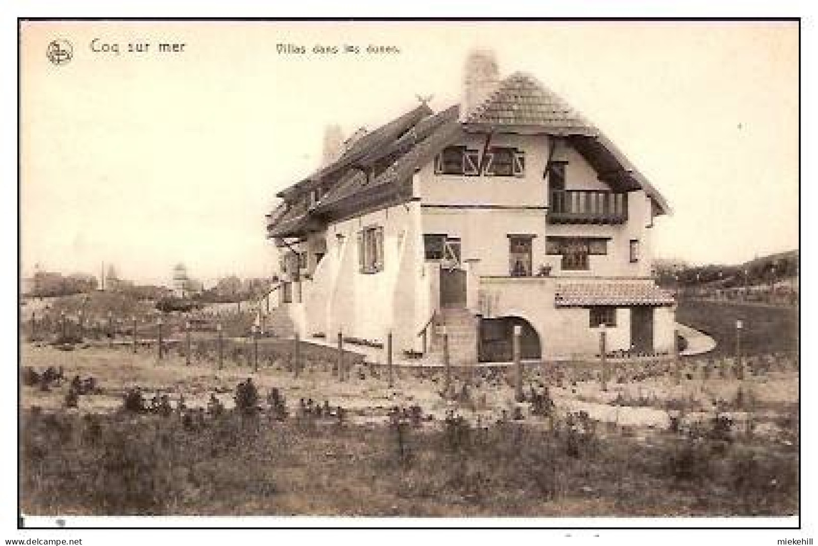 DE HAAN-VILLAS DANS LES DUNES - LE COQ - De Haan