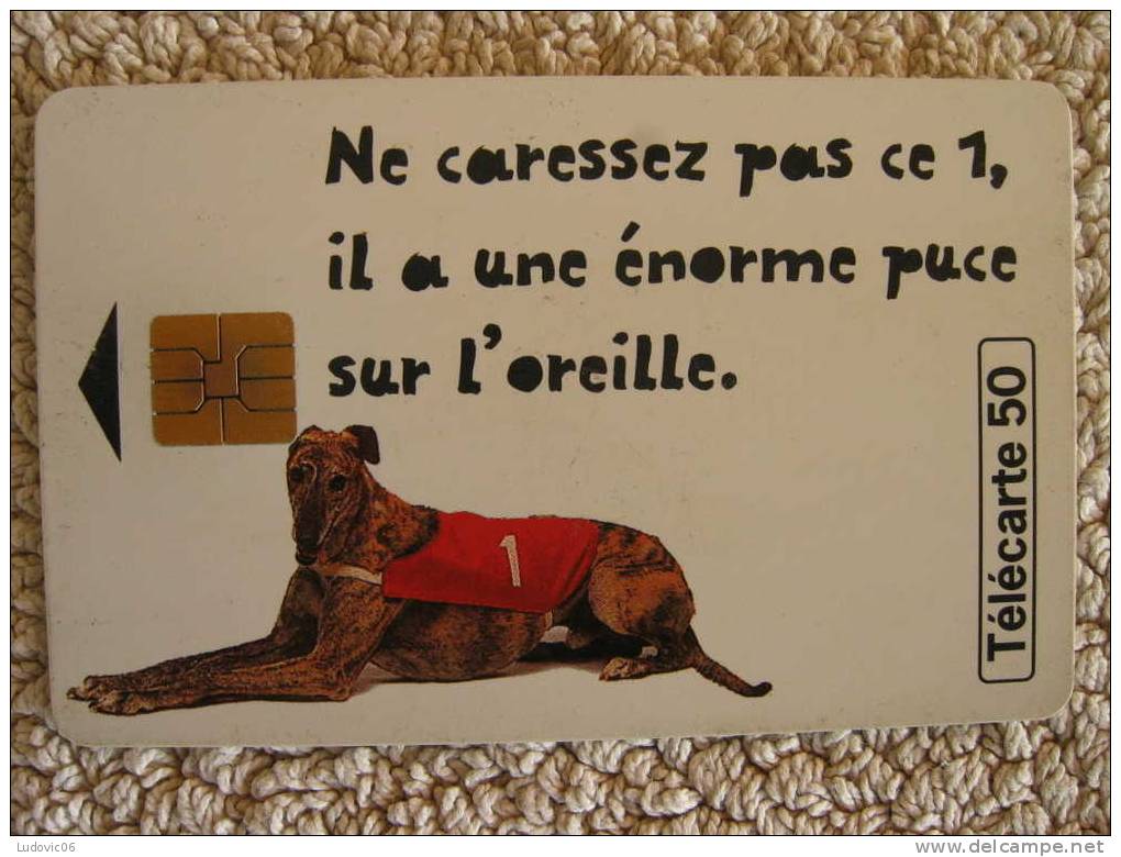 F886 - LOTO CHIEN - 50 SO3 - Justifié à Gauche (JG) - 1998