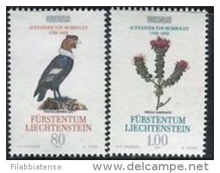 1994 - Liechtenstein ---- - 1994