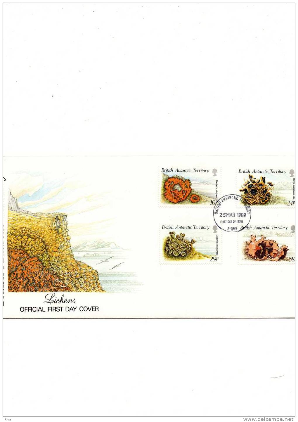 Pli Avec 4 Valeurs British Antarctique Du 25/3/1989 (Lichens ) - Otros & Sin Clasificación