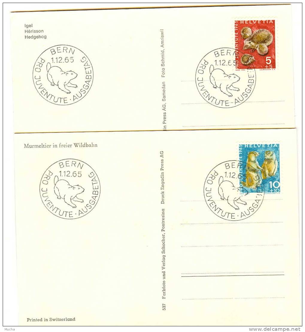 Oblitération Marmotte Série Suisse Pro Juventute Sur 5 Cartes Postales - Sonstige & Ohne Zuordnung