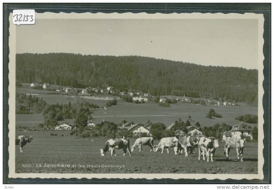 LA JONCHERE ET LES HAUTS GENEVEYS - VACHES - TB - Geneveys