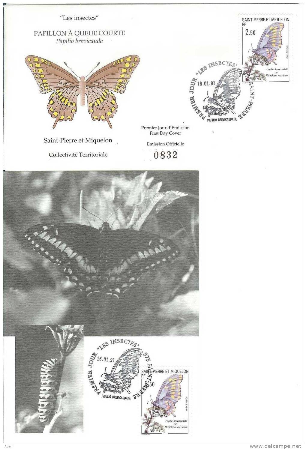 FDC 830 St PIERRE Et MIQUELON - N° 534 - PAPILLON - INSECTE - CARTE MAXIMUM Et LETTRE - FDC