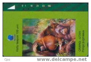 # INDONESIA S219 Orang Utan 100 Tamura 02.94  Tres Bon Etat - Indonesien