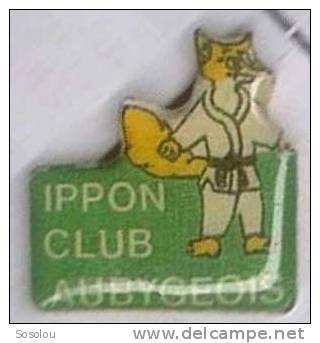 Ippon Club Albigeaois - Judo