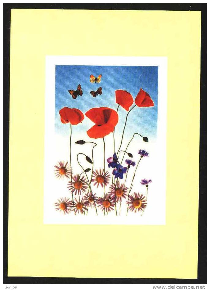 Illustrator D.ZACHAR - Butterfly And  POPPY POPPIES  CZECH Pc 15301 - Vlinders